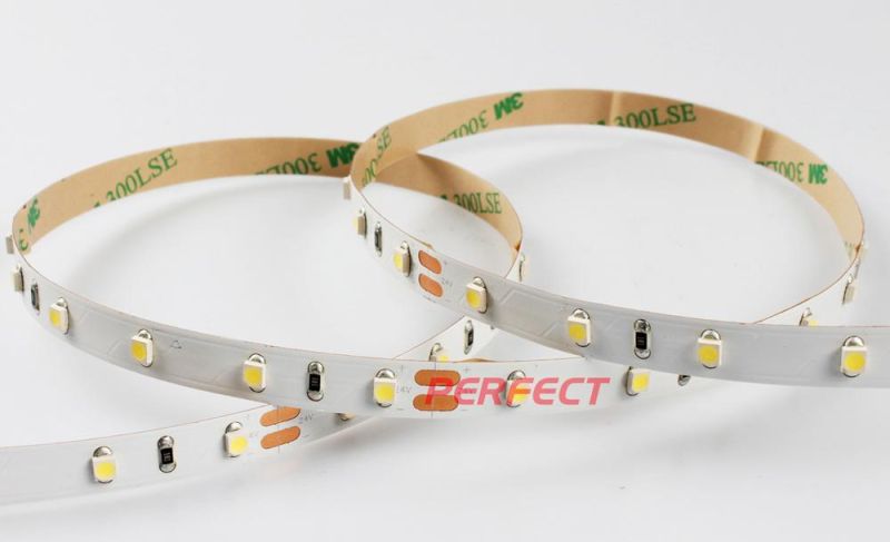 Hot Sale SMD3528 60LEDs/M White Color IP20 LED Strip Light