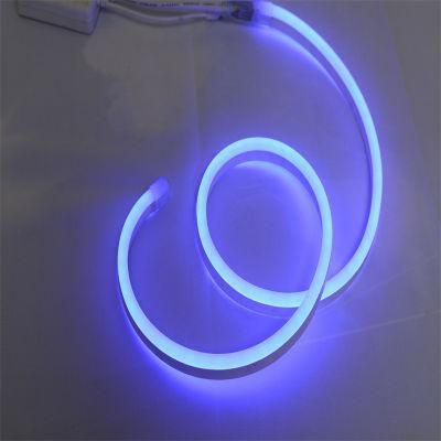 220V 110V 5050 5m Multicolor Flexible Roll Outdoor Waterproof RGB LED Christmas Light