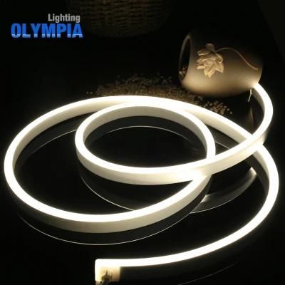 Ultra-Thin LED Neon Light SMD5050 Strip for Outdoor