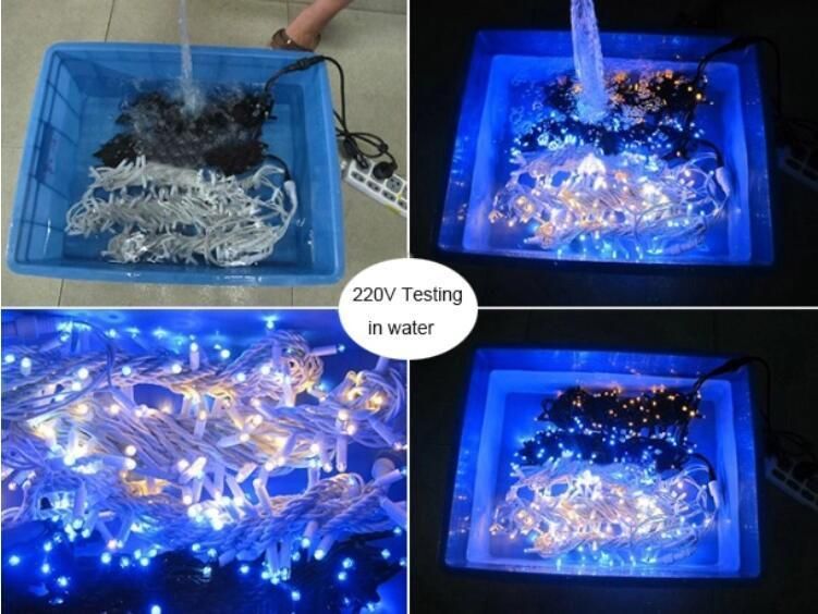 24V RGB Waterproof LED Decoration Light for Wedding