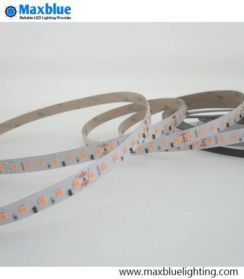 DC24V SMD2835 112LEDs/M Constant Current LED Flexible Strips