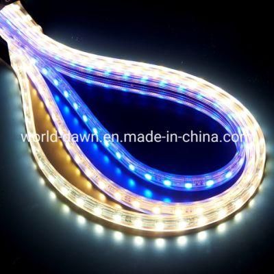 Outdoor Decoration Lights IP65 Waterproof SMD5050/SMD2835 110V/220V LED Strip Light