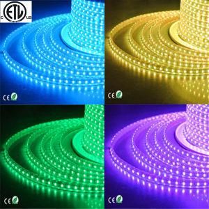 ETL 120V LED Ribbon 220V 5050 RGB LED Strip Lighting