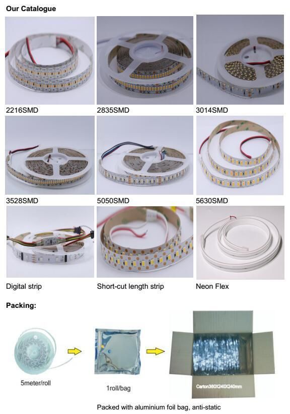 CCT Adjustable 120LEDs/M White Color SMD2216 Flex LED Strip