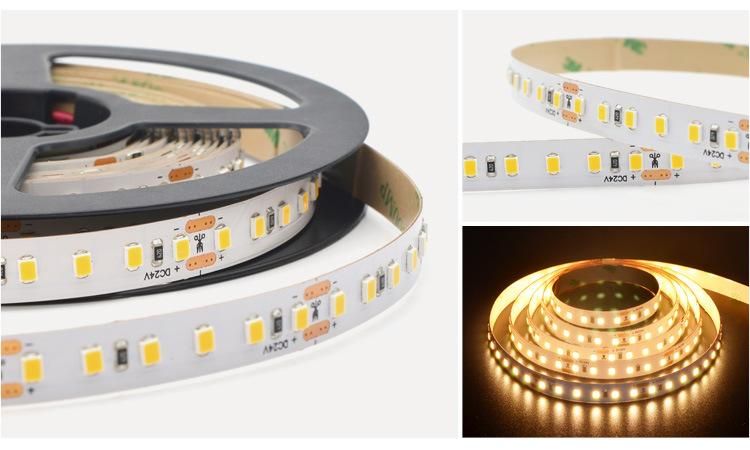 Flexible Rope Light SMD2835 128LEDs 6000K DC24V IP20 Used for House Decoration