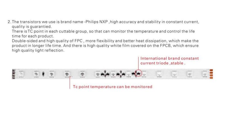 DC48V Constant Current CTA LED Strip 30m Single Run