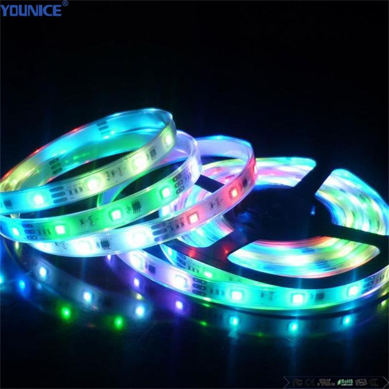 SMD5050 Rgbww DC24V 60LEDs/M LED Flexible Tape Lighting LED Strip