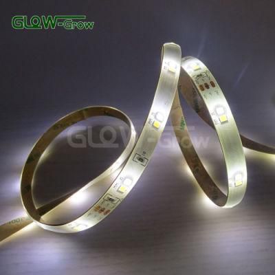 Wholesale Dual Color 12V/24V IP44 3.6W/M LED CCT Strip Light for Home Depot Kitchen Studio Work Decoration