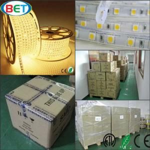 4000k RGBW 5050 LED Strip Outdoor LED Decoration Lights