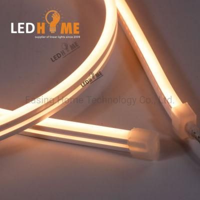 Mini Size LED Neon Lighting with 2216 SMD Strip