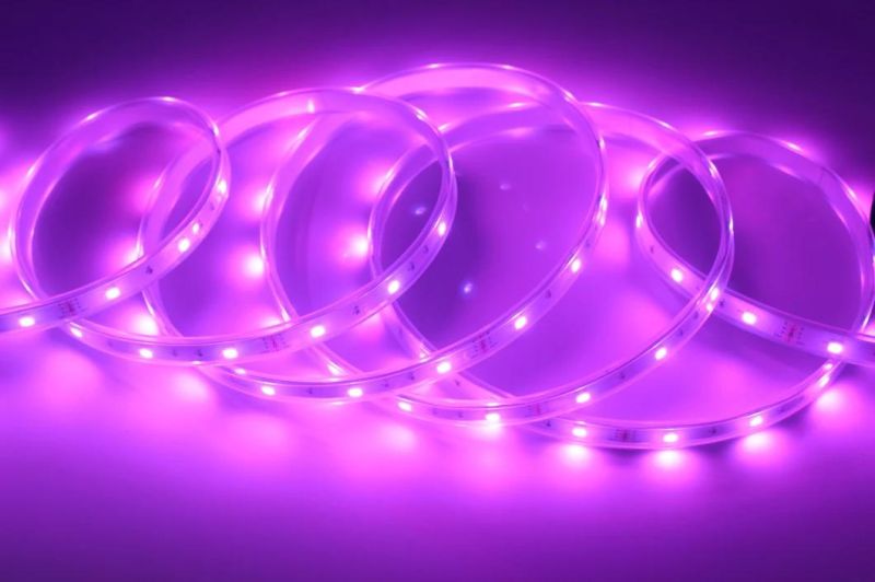 High Bright IP20/IP65/IP68 30LEDs/M SMD5050 LED Flexible Strip Light