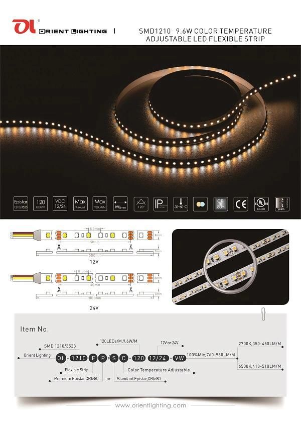 UL Ce SMD 3528 1210 Color Temperature Adjustable Flexible LED Strip Light