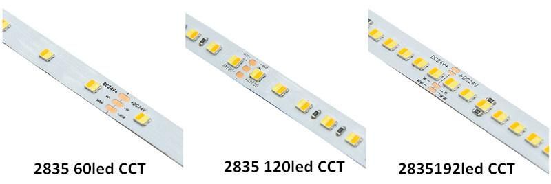 Premium Quality SMD2835 CCT LED Light 60LED/M Waterproof IP65 Outdoor Strip