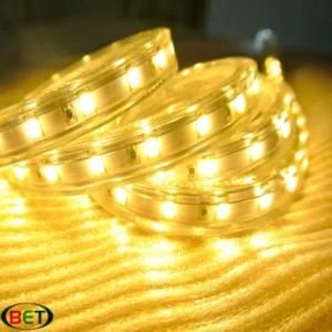 110V SMD5630 Warm White Cheap LED Strip Light