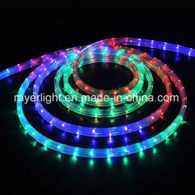 LED Outdoor Light LED Showing Decorations LED Rope Light LED Home Decoration