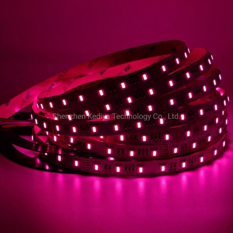 5m Premium True Color RGB RGBW Rgbcct WiFi&Bt SMD LED Strip Lights Holiday Lights for Decoration 60LED/M DC24V IP67 2oz PCB