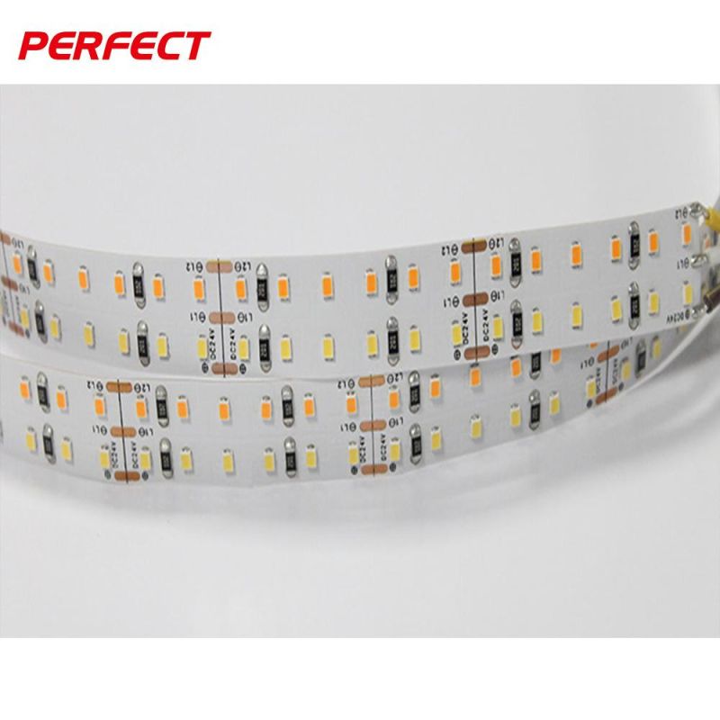 High CRI Ra90 SMD2216 Cw/Ww Dual White Color Temperature Adjustable CCT 12V 24V Double Color LED Flexible Strip