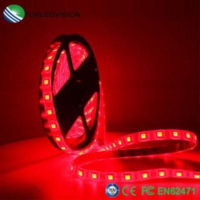 5m Decorative Light Neon Flexible RGB LED Strip SMD5050 60LEDs/M