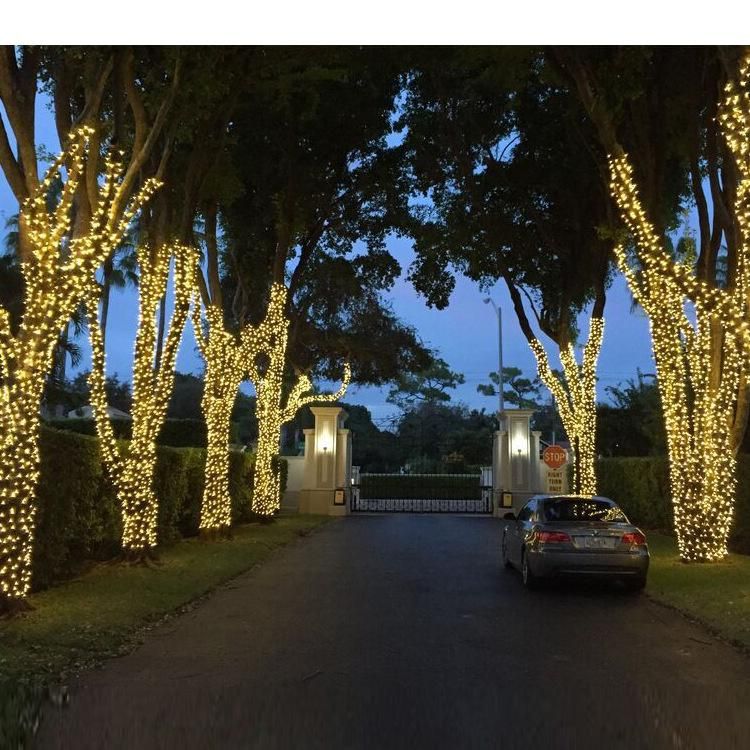 LED Holiday Strip Light for Outdoor