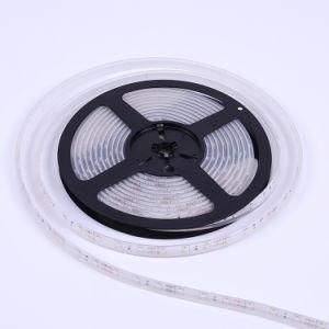 Star King Hot Sell Low Voltage 120LEDs Higher Brighten LED Strip Light