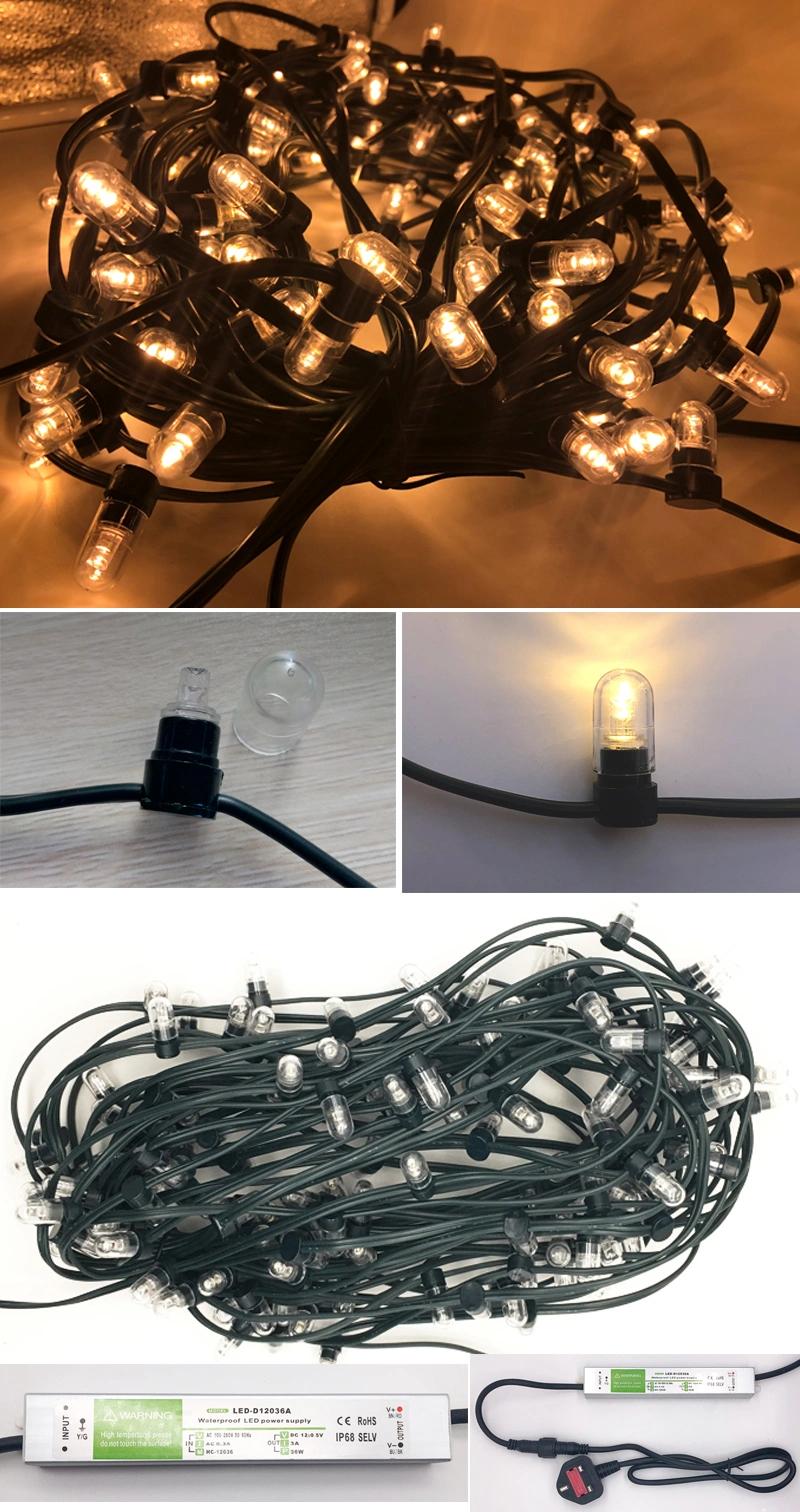 Toprex Decor 2022 Hot Sale Holiday Lighting IP65 Cuttable Safe LED Clip String Lights