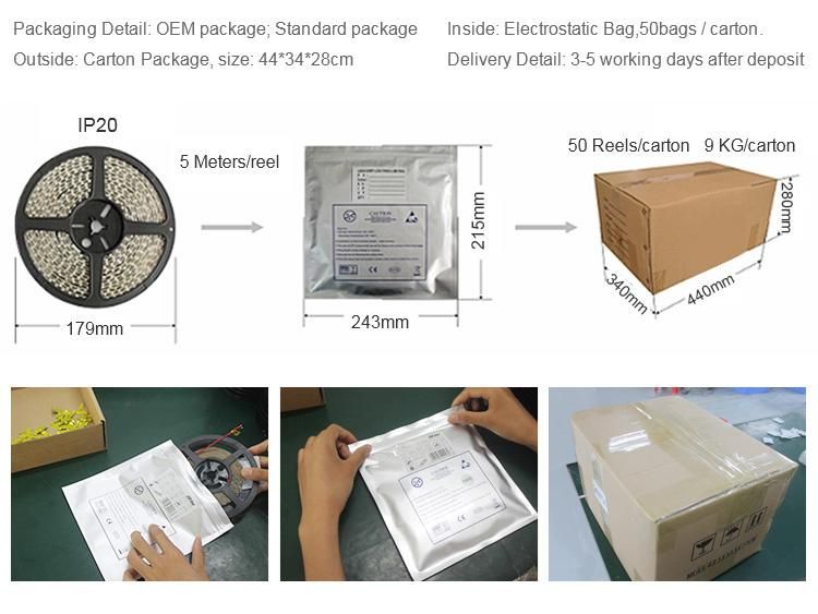 RGBW LED Flexible Panel Sheet