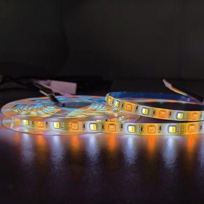 New 12V Good-Looking Cx-Lumen Brilliant Smart Strip Factory Supply LED Rope Light