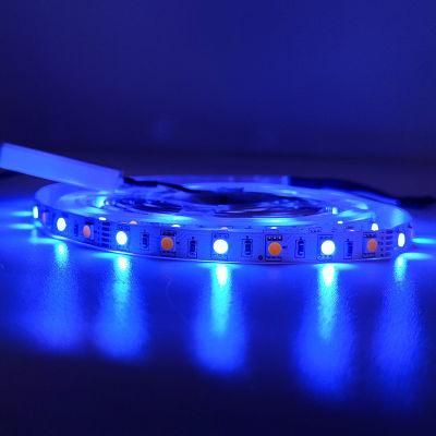 Multi-Function 5050 DC12V Cx-Lumen China Supplier LED Light Strips Gaming