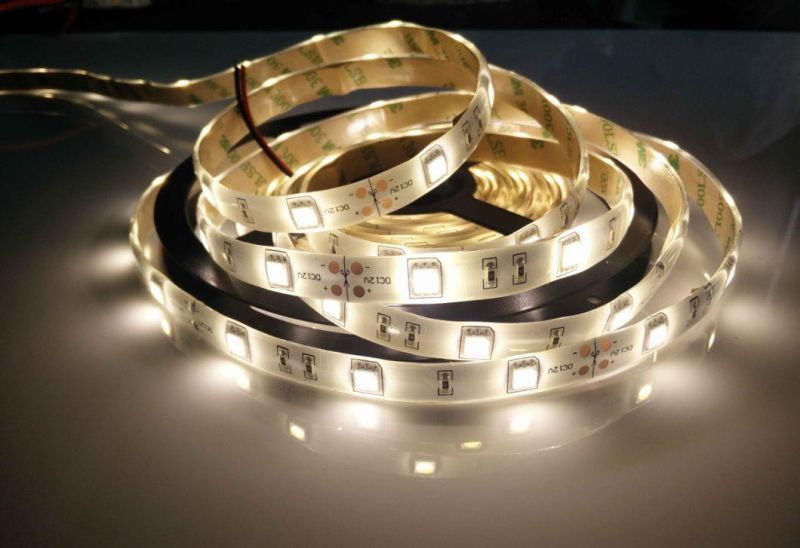 LED Neon Light Strip Waterproo Fwhite Color LED Rope Light for Party Decoration