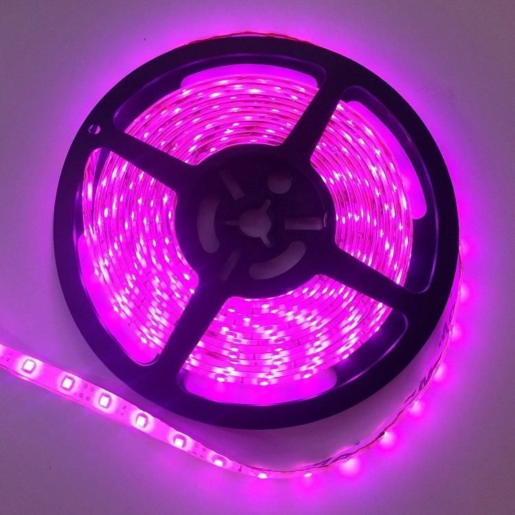 4.8W 12V Ultra Thin 3528 Heat Resistant 60LEDs/M LED Strip