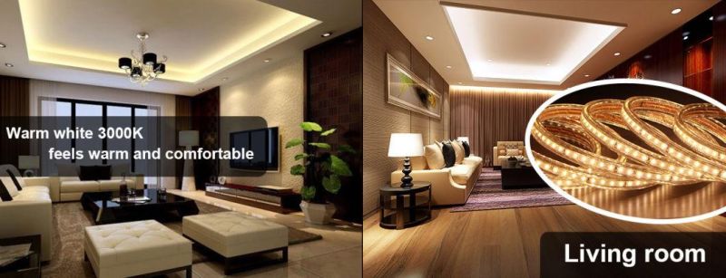 Decoration Light LED Strip Light Use Applicable for Stairs Passageway Living Room KTV Garden Lights