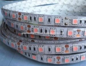 Good Quality SMD 5050 LED Strip for Room Lighting