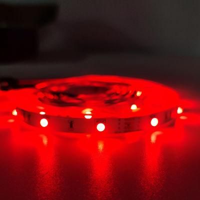 Best Selling RGB 5050 Smart Strip Light for Party Decoration