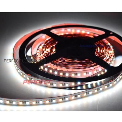 2835 LED Strip 120 LED Per Meter 28.8 Watt CRI 90 DC24V CCT LED Flex Strip