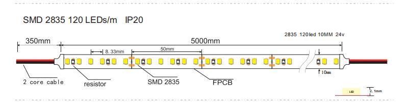 Ce Certificate 60LEDs DC12V 6W/M 6000K SMD2835 Flexible LED Strip for Dots Free LED Linear Lighting