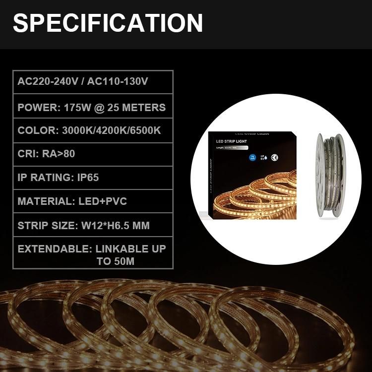 220V 230V LED Strip Light SMD 2835 Ce RoHS Certified Outdoor Used IP65 Waterproof Decorative Light