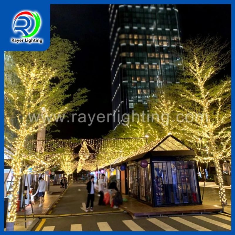 Christmas Festival Decoration Lighting Outdoor Lighting Fairy Lights LED String Light