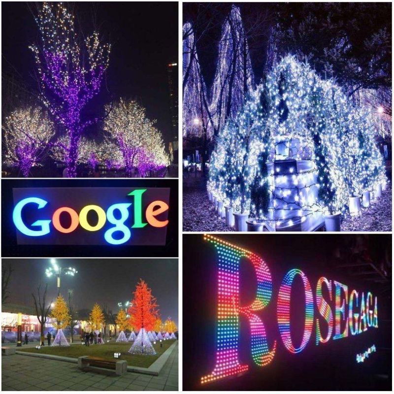 DC5V 12V Waterproof Full Color Ws2811 12mm IP68 Bullet LED Pixel Light for Christmas Decoration