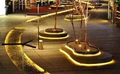 Garden Lighting LED Strip Light Outdoor Using Ce RoHS Certificate SMD 2835