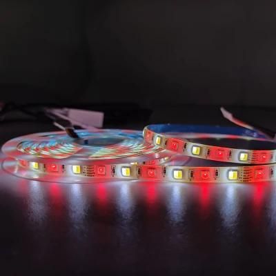 5m/Roll DC12V 2835+5050 Smart Strip Light for Garden Decoration