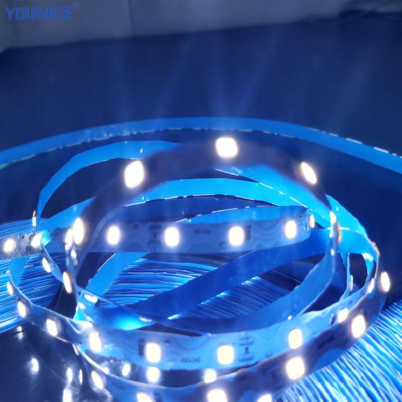 10m/Roll 100lm/W DC24V Flexible Ribbon Rope LED Strip