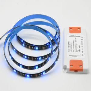 12V 24V Christmas LED Strip Light with AC100-240V Slim Transformer