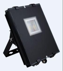 65W LED Projection Light with 3-5 Years Warranty Ce RoHS