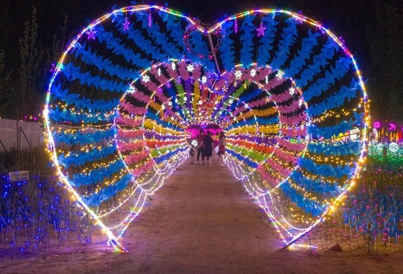 LED Fairy String Light LED Decorative Lighting LED Tunnel Light LED Outdoor Decoration