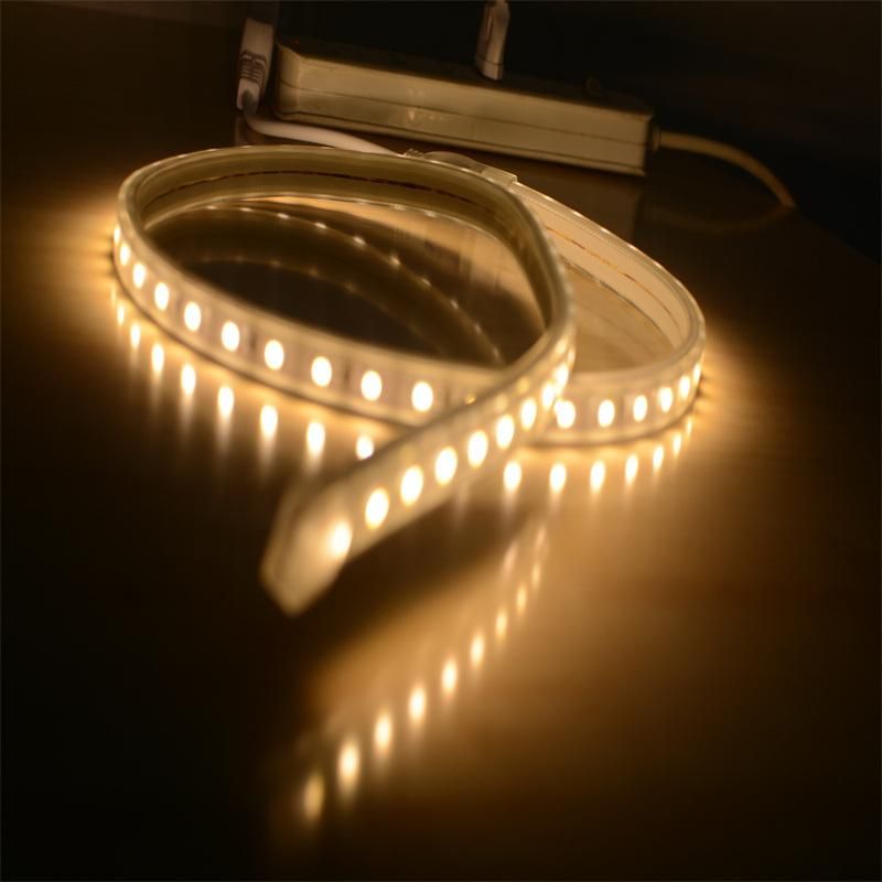 AC230V High Lumen SMD5050 LED Strips with CE RoHS Cetificate