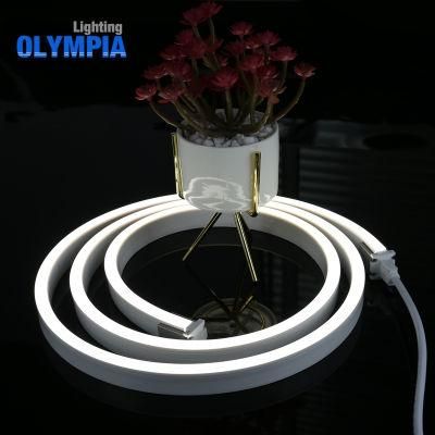 Warm White LED Neon Flex