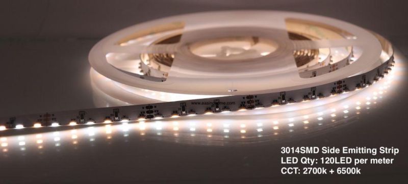 Side Glowing Flex LED Strip Lighting with DC 24V 120LEDs 14.4W/M