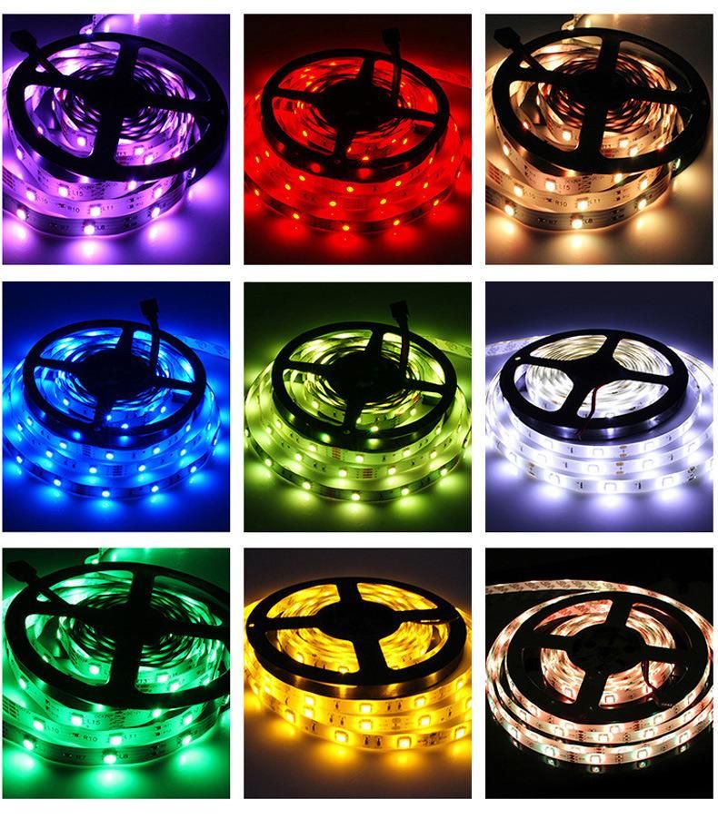 12V SMD5050 LED Strip Light IP 65 60LED/M RGB