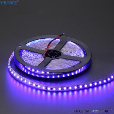 DC24V 15mm Width 240LEDs/M SMD3528 LED Flexible Tape Strip