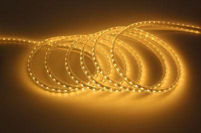 24V 2835 LED Strip PCB 5mm Waterproof Flexible LED Strip Lights White Warm White